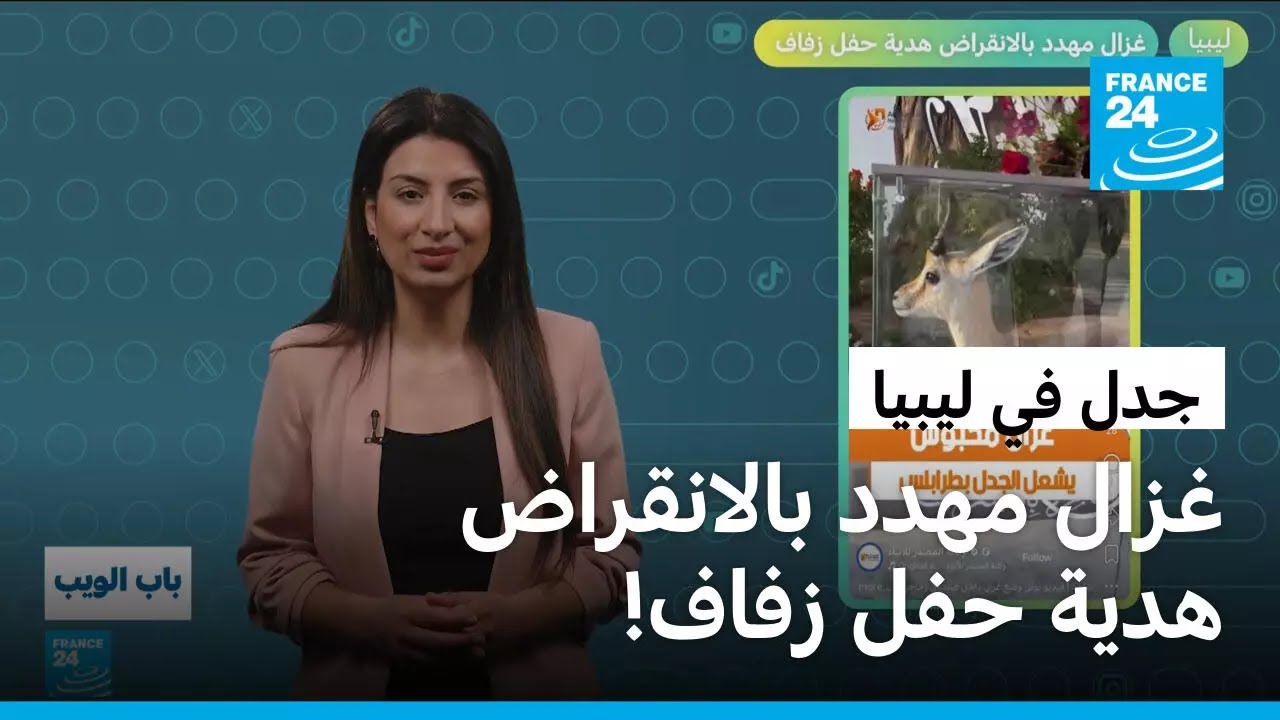 �����.. ���� ���� ��������� ���� ��� ����! � ����� 24
 - نشر قبل 15 دقيقة