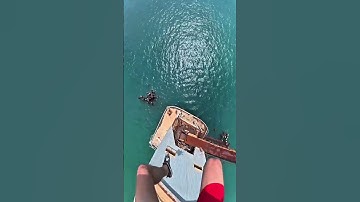 This is why you should never jump off old ocean towers 🦈