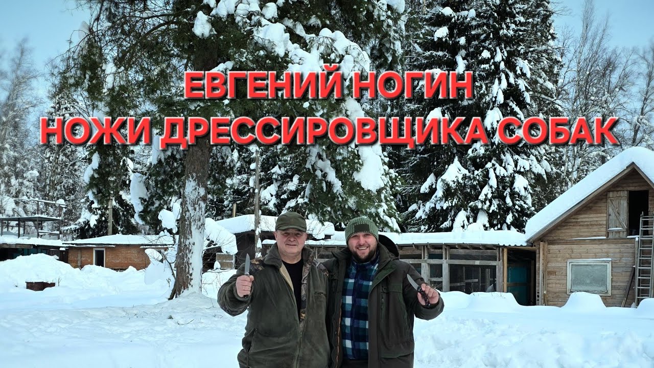 ЕВГЕНИЙ НОГИН автор канала ЗАМЕТКИ ДРЕССИРОВЩИКА. Первый привёз стаффордов и завёл дома волков.