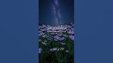 قران كريم ارح قلبك وسمعك #قران_في_دقيقة #quran #قرآن #ياسر_الدوسري @قران_في_دقيقة