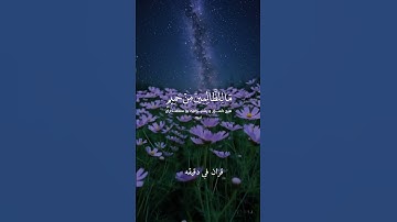 قران كريم ارح قلبك وسمعك #قران_في_دقيقة #quran #قرآن #ياسر_الدوسري @قران_في_دقيقة
