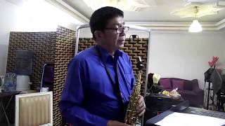 NEVER THOUGHT THAT I COULD LOVE - Dan Hill (soprano sax cover)