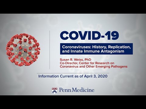 Vidéo: Coronavirus Et Voies Aériennes Humaines: Un Système Universel Pour Les études D'interaction Virus-hôte