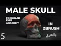 005 Eyes | 👁️ اتقان تشريح العين والجفون في ZBrush — دليل عملي سريع 👁️