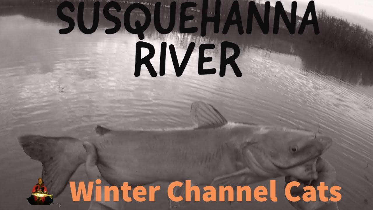 Winter Catfishing, Susquehanna River Channel Catfish 