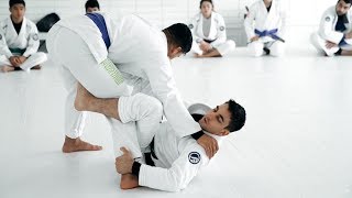 TWENTY EIGHTEEN with PROFESSOR GUI MENDES | artofjiujitsu.com