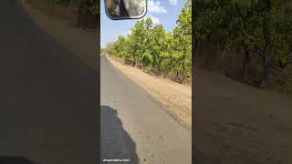 #short #song #viral #love #natural #jungle #video #view #shorts #shahdol #mp #road