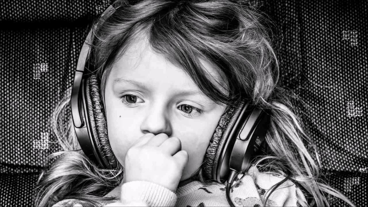 Animal Trainer - Function None - YouTube