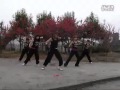 W-SP (Chinese w-inds. fan Dance Group) - Be As One Dance