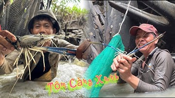 Săn bắt Tôm Càng Xanh cười lộn ruột cùng với Anh Em Cần Giờ