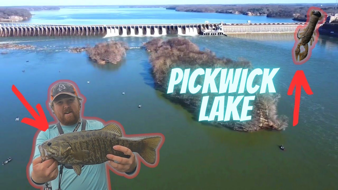 Fishing the Ned Rig For Finicky Pickwick Smallmouth Bass!!!