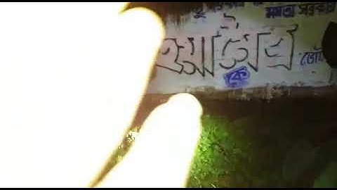 Indian rock python rescue