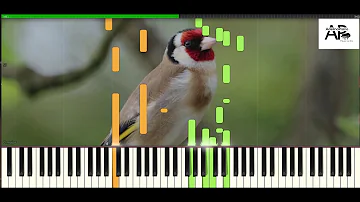 Kenny G - Songbird | Adelina Piano synthesia tutorial