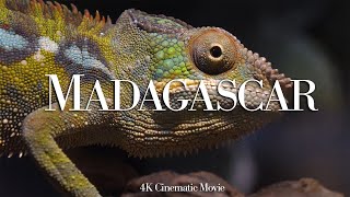Madagascar A 4K Cinematic Movie With Relaxing Music