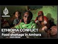 Ethiopia conflict families describe shortage of food in amhara