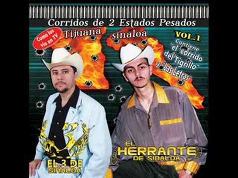 EL 3 DE SINALOA " Corrido a Adan Sanchez"