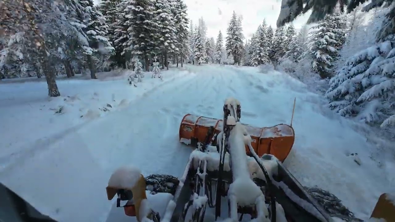 February Surprise Snowfall, More Coming!