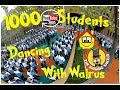 Action Song in 360 with 1000 students dancing and singing The Singing Walrus