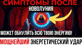 видео: ИЗБРАННЫЕ! Эти 8 признаков ты почувствуешь в течение 48 часов после Новолуния! 24–25 октября картинка: ИЗБРАННЫЕ! Эти 8 признаков ты почувствуешь в течение 48 часов после Новолуния! 24–25 октября