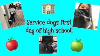 Service Dogs First Day Of High School!