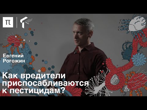 Антимикробная резистентность в сельском хозяйстве — Евгений Рогожин / ПостНаука