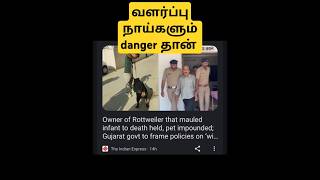 வளர்ப்பு நாய்களும் danger தான்