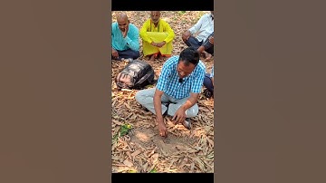 టాప్ లిట్ అప్‌డ్రాఫ్ట్ పద్ధతి ద్వారా బయోచార్ చేయడం | Biochar by TLUD  #biochar #biocharproduction