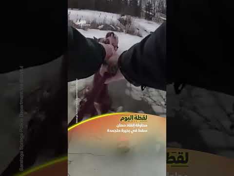 إنقاذ حصان سقط في بحيرة متجمدة