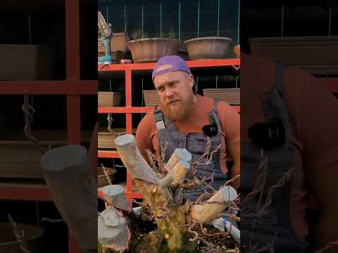 Чем плоха частичная