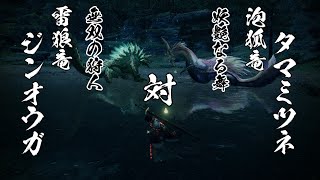 【MHRise】縄張り争い集Ver1.1.1（汎用モーション除く）