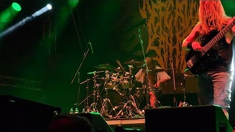 DEFEATED SANITY  [[[Brutal Assault 2025]]]