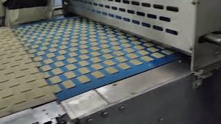 Model 800 Soft Biscuit Line Soft Biscuit Forming Machine--0086 13524823568 screenshot 5