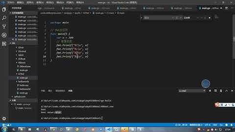 Go从入门到精通，只需要24天 P13 fmt总结5