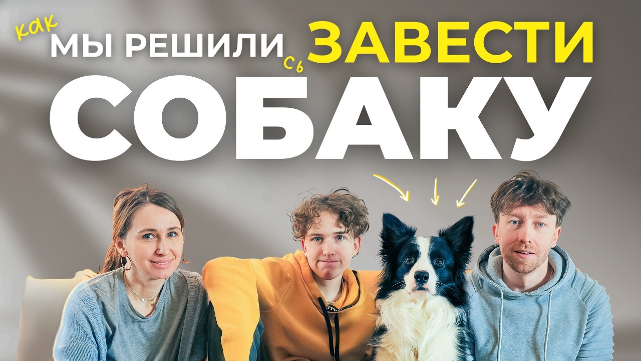 Что будет если завести бордер колли? Наш ПЕРВЫЙ ГОД с собакой в доме | Картонка