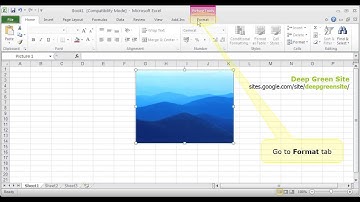 MS Excel 2010 / How to apply artistic effects to picture on worksheet