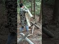 The Epic Evolution Of Ladders 🪜🌳