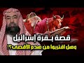 نبيل العوضي قصة البقرة الحمراء عند اليهود وعلاقتها بهدم للمسجد الأقصى جماعة هيكل سليمان 