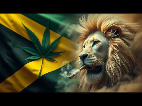 I'm Not a Hero  [Official Music Video] [Modern Reggae]