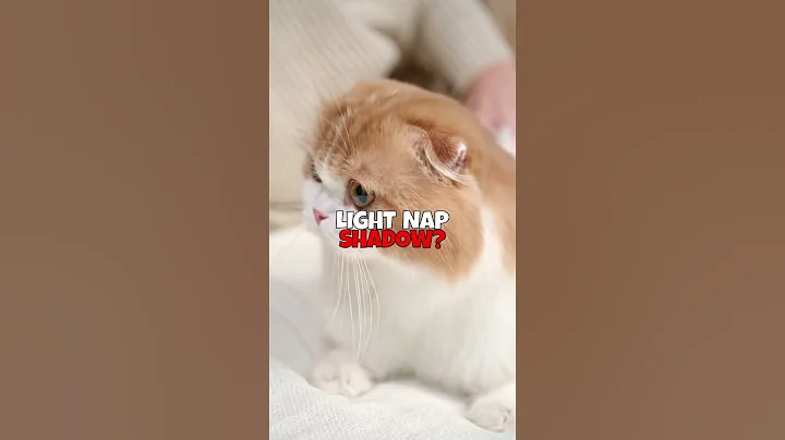 wow 😳 #fyp #funny #comedy #sarcasm #silly #viral #braingenai #reels #shorts #uselessfacts #random