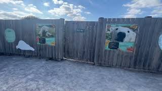 POLAR Bear Enclosure