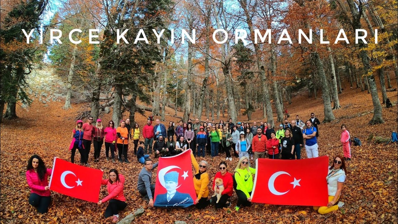 YİRCE KAYIN ORMANLARI