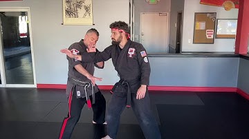 SASDA -Dominating Cirlces