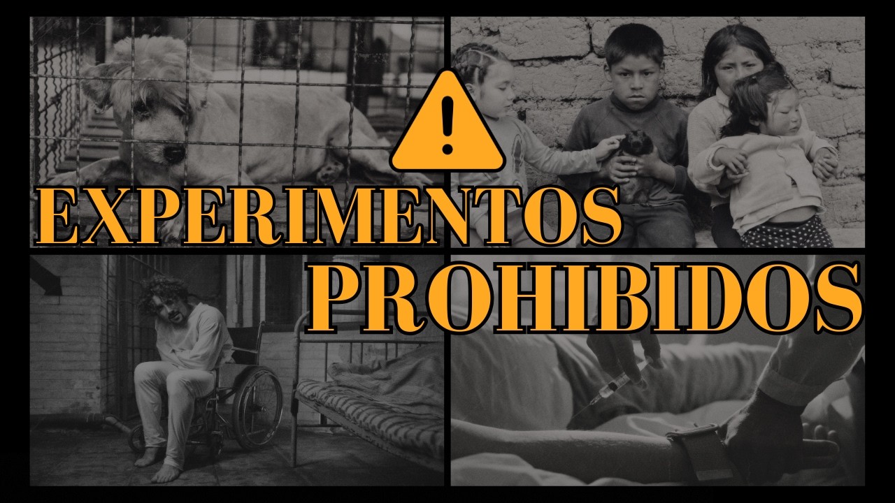 10 experimentos reales que revelaron el lado más oscuro de la mente humana