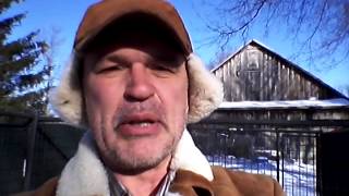 dog house bedding for winter