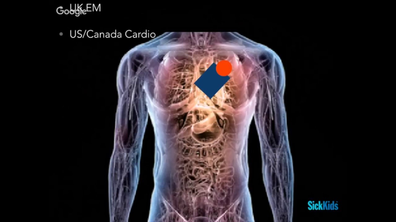 Cardiac IVC B-Lines (1/6) peme format