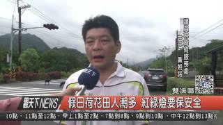 1060616觀天下新聞HD04 雙溪區假日荷花田人潮多 紅綠燈要保安全