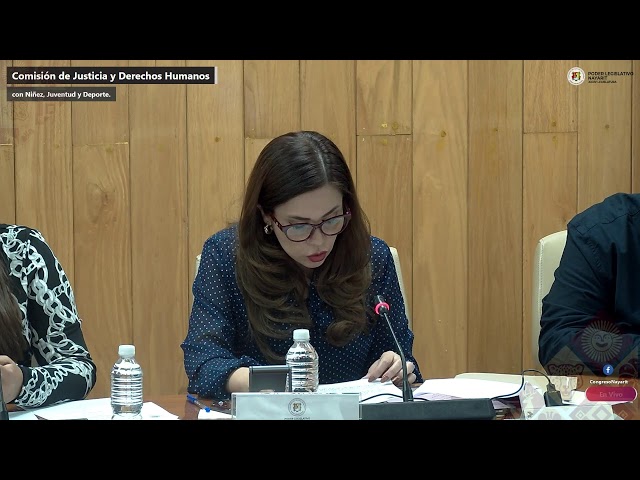 🌐 COMISIONES UNIDAS DE JUSTICIA Y DERECHOS HUMANOS, CON NIÑEZ, JUVENTUD Y DEPORTE.