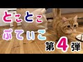 とことこぷてぃこ第４弾
