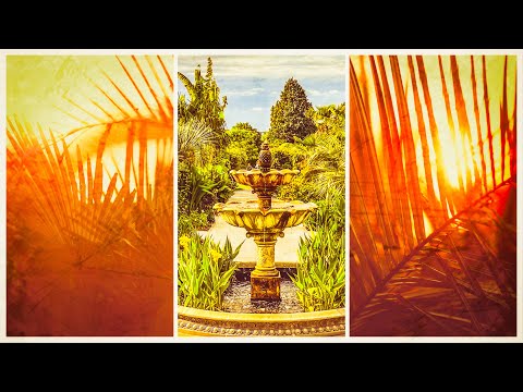 Video: Hardy Tropicals - Cây cọ cứng mùa đông và cây trồng cho vùng lạnh