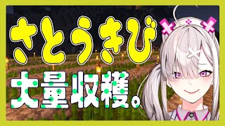 【マイクラ】さとうきび畑を作りながらおしゃべり【健屋花那/にじさんじ】
